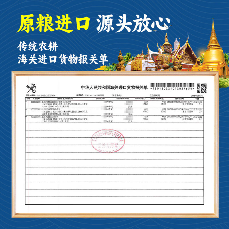 王家粮仓 泰国香米 泰国原粮进口 长粒籼米 进口泰米20斤  真空包装