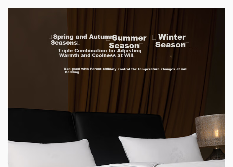 SILKUEEN [Lanyu] 100% Premium Mulberry Silk Comforter Core, All-Season Parent-Child Silk, Weight 1+3 Jin (500g), 220*240cm [White] 6