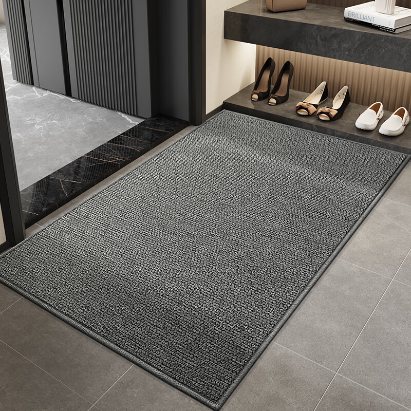DeXi Entrance Door Mat, Foot Mat, 2025 New Style Door Mat, Entrance Foot Mat, Foyer Doorway Mat, 80x120cm