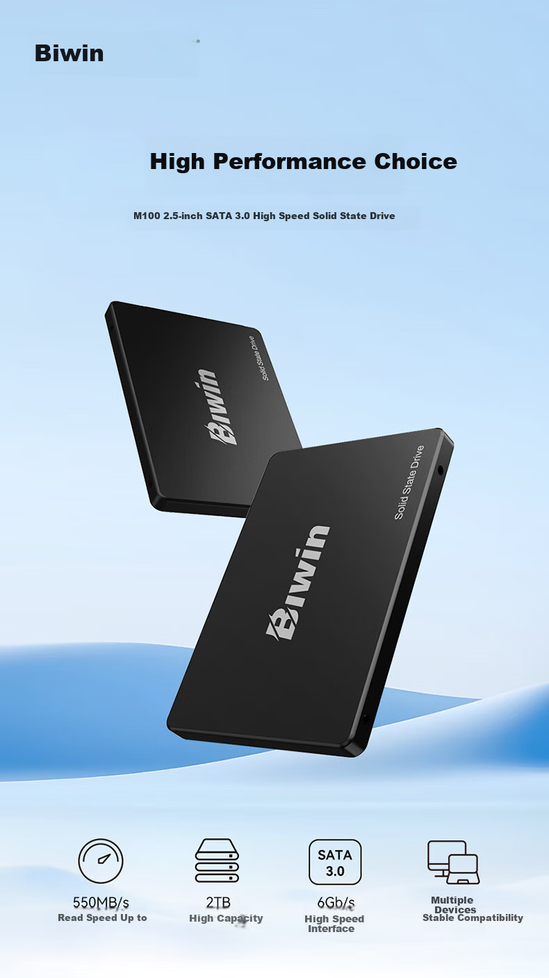 BIWIN 1TB SSD Solid State Drive, SATA 3.0 Interface, M100 Series, Read Speed 550MB/s, AI PC Computer Storage Accessory 2