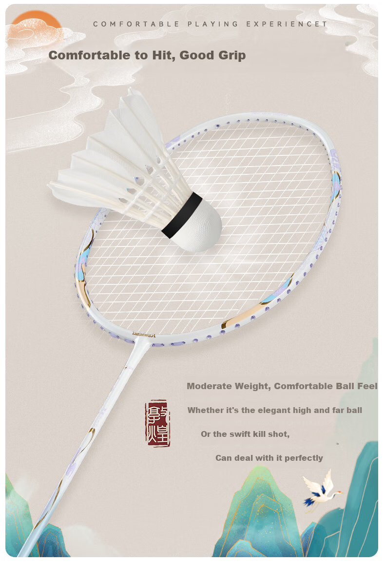 Kawasaki Badminton Shuttlecocks, Feitian No.6 Durable Professional Competition Training Goose Feather Shuttles, Pack of 10 6