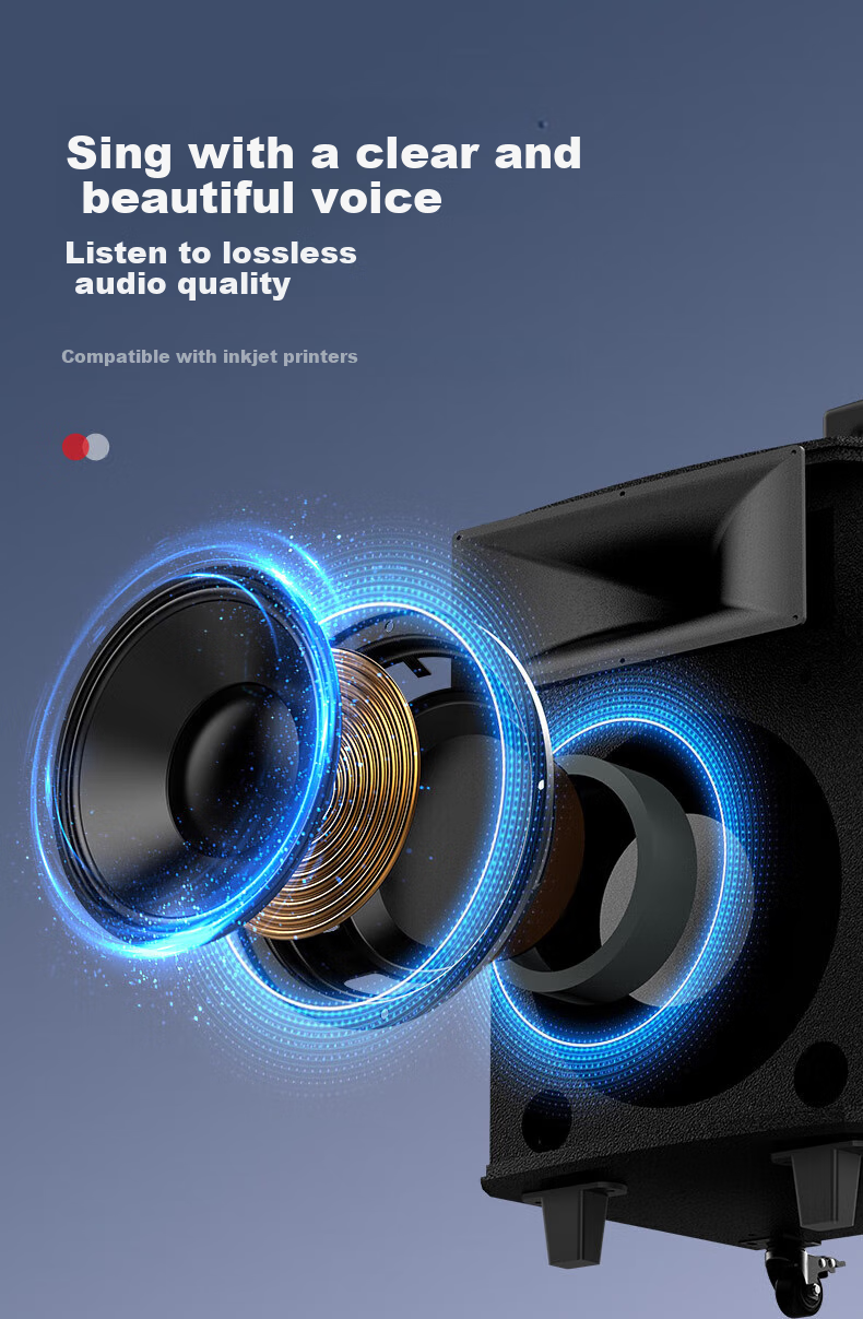 HiVi Outdoor Karaoke Speaker, Square Dance Singing High-Power Trolley Portable Speaker, Microphone Amplifier All-In Instrument Subwoofer, Bluetooth Connection, MA08 2