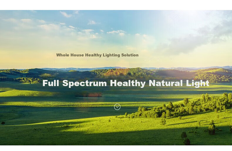 Dengling Surface-Mounted Panel Light, Full Spectrum Eye Protection, 300x1200 Ceiling LED Panel Light, Rectangular Fixture for Office Use 4