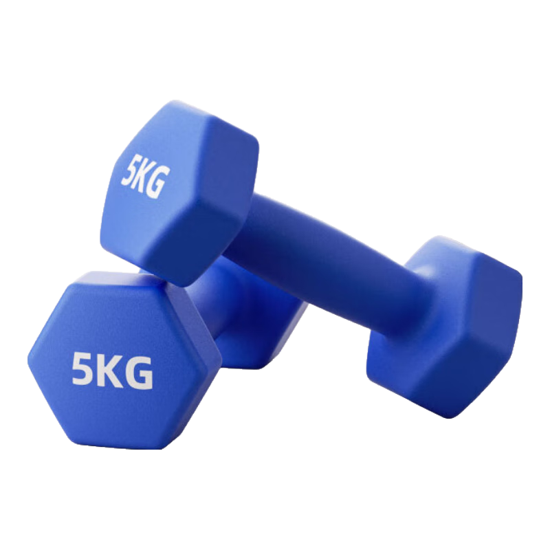 Langwei Dumbbell for Men's Strength Training, Solid Cast Iron, Yaling Coated Pure Iron, Home Fitness Equipment [JINGDONG Exclusive Supply]