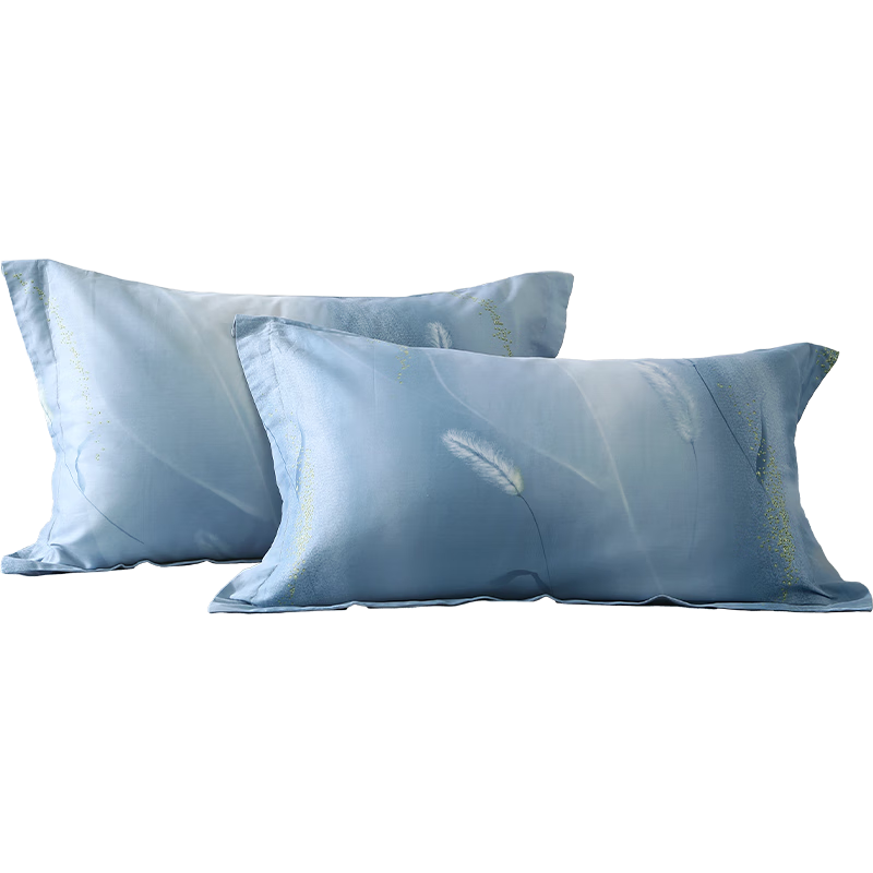 Bailisi Shuixing Jiafang Brand 60-Count Pure Cotton Sateen, Single Cotton Pillowcase, Pure Cotton Pillow Cover Set of Two