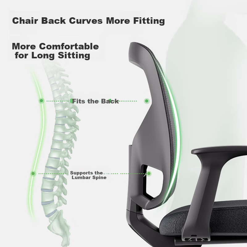 Deli 4900M Business Office Computer Chair, Corporate Procurement Bow-Shaped Chair Ergonomic Chair Government And Enterprise Chair, Gray