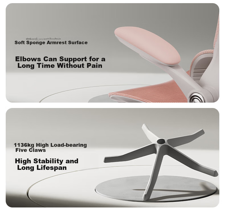 Hbada P2Pro Ergonomic Chair, Computer Chair, Ergonomic Seat, Office Study Gaming Chair, Desk Chair 22
