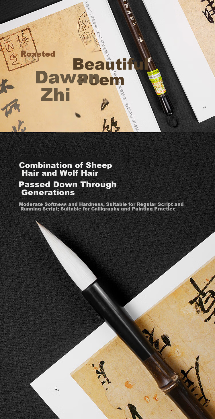 Zhouhuchen Calligraphy Set with Brush, Ink, Paper, And Inkstone for Beginners in Chinese Calligraphy, Including Da Mo Sheep Hair And Wolf Hair Brushes 4