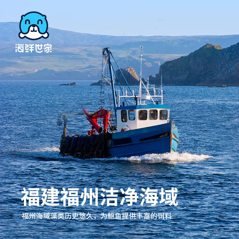 海鲜世家福州冷冻大鲍鱼净重360g袋10粒火锅烧烤食材生鲜贝类海鲜