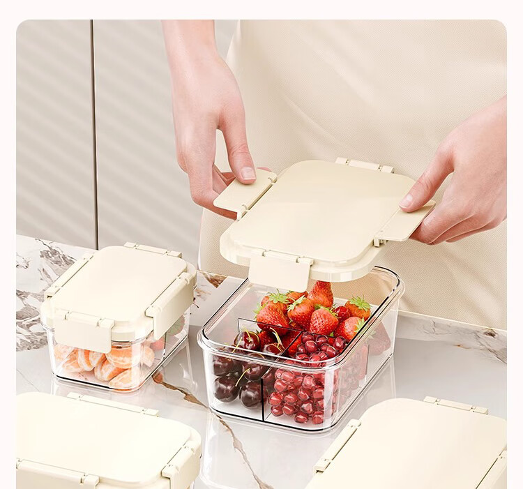 Jialifang Portable Fruit Fresh-Keeping Box Outdoor Camping Picnic Storage Leak-Proof Lunch Box Sealed Container 5