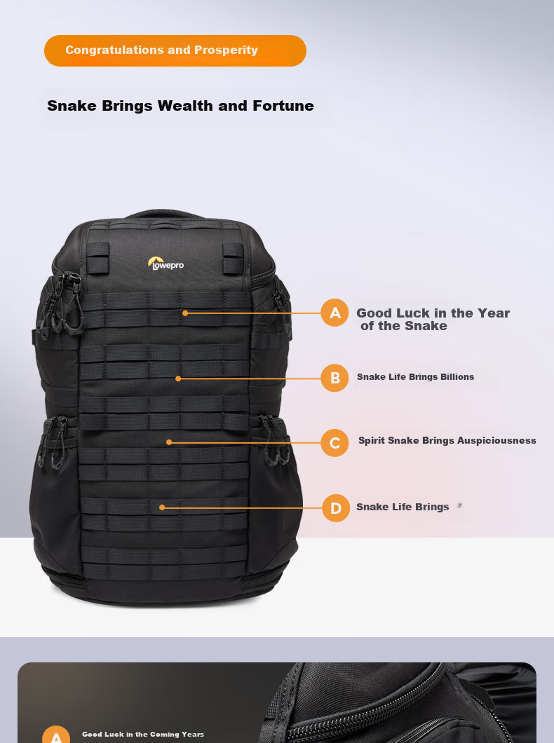 LOWEPRO Le She Bao Jingang San Dai ProTactic BP 350 AW III, Suitable for Mirrorless And DSLR Cameras, Photography Backpack, LP37505-PWW 18