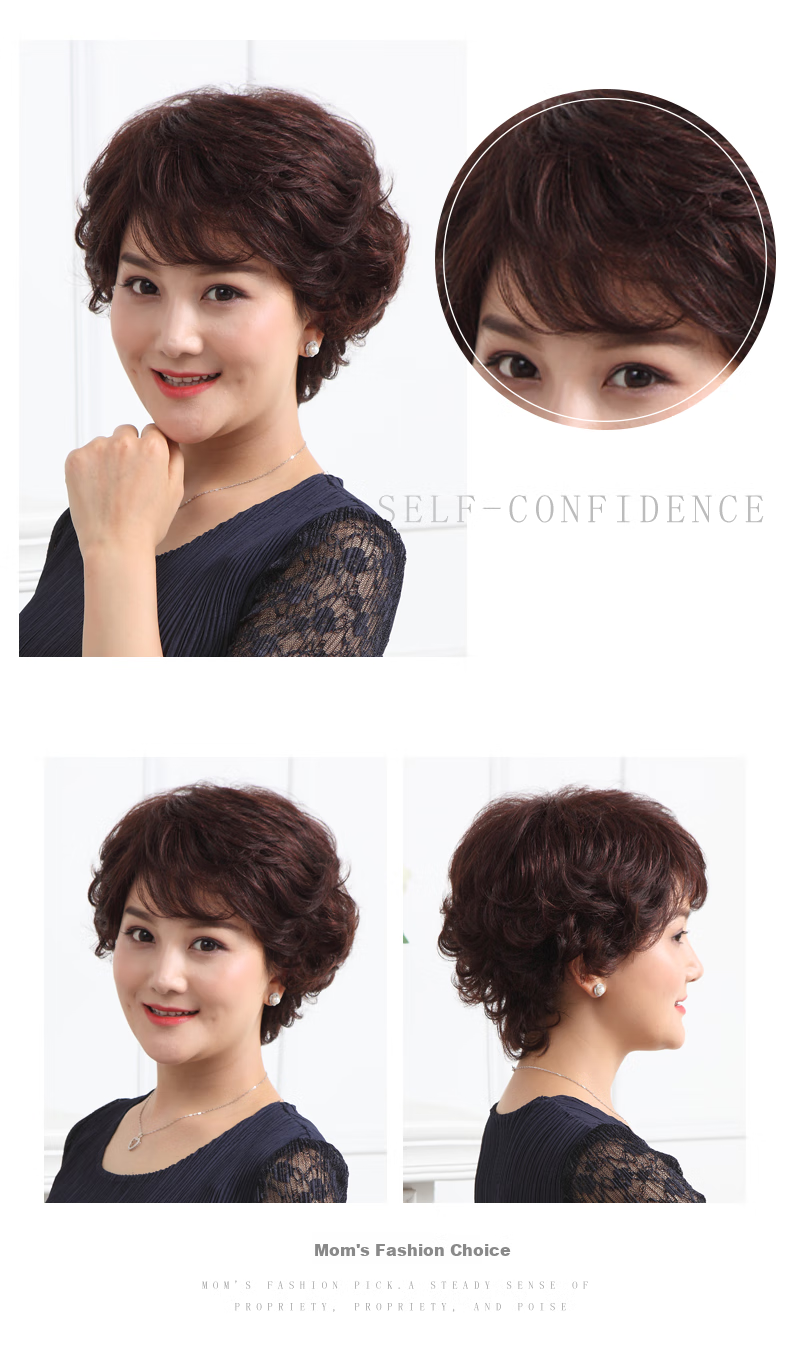 Baisitang Women's Short Wig Full Head Covering Short Curly Hair Wig for Middle-Aged And Elderly Mothers, One Size Fits All (Dark Brown) 5
