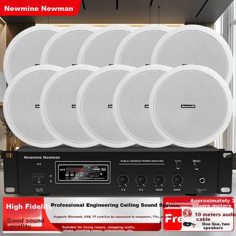 Newmine D161 Constant Voltage Ceiling Speaker Sound System Kit, Suspended Ceiling Background Music Public Address Amplifier Speaker System (One-To)