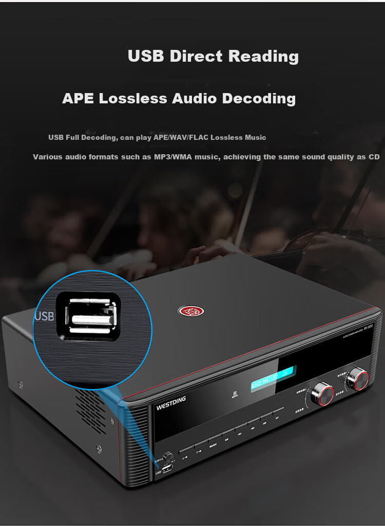 WESTDING Amplifier for Home Theater with Speaker Combination, 2.0 Channel, 1200W Peak Power, AK-393 Amplifier, One Unit 11