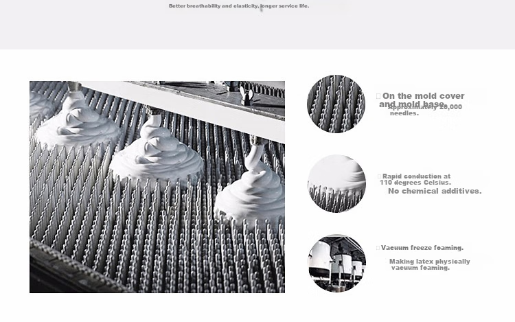Dunlopillo , Imported from The Netherlands, Tralair Technology Latex Mattress for 1.8m Bed / 5cm Thick Kaiyue Selectio 6