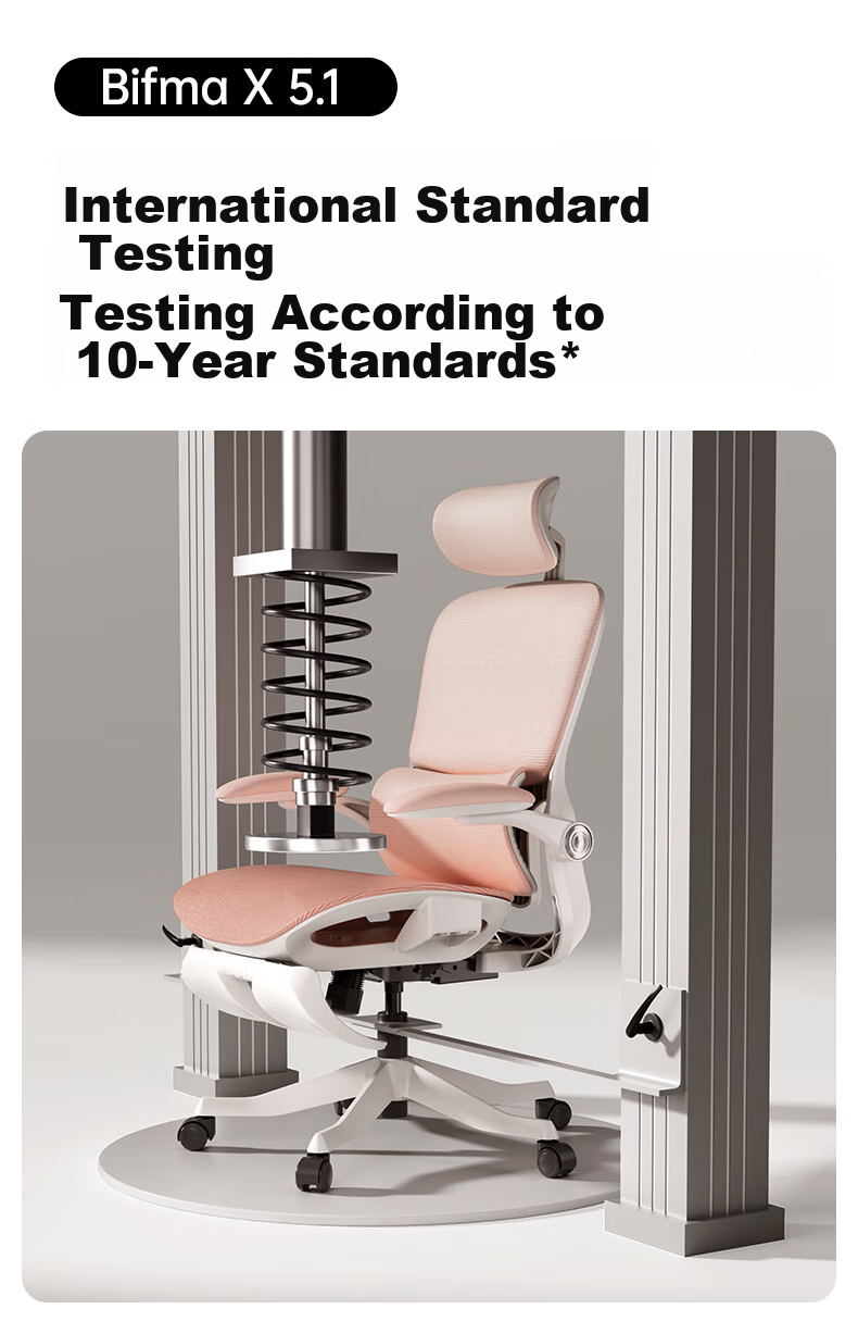 Hbada P2Pro Ergonomic Chair, Computer Chair, Ergonomic Seat, Office Study Gaming Chair, Desk Chair 20