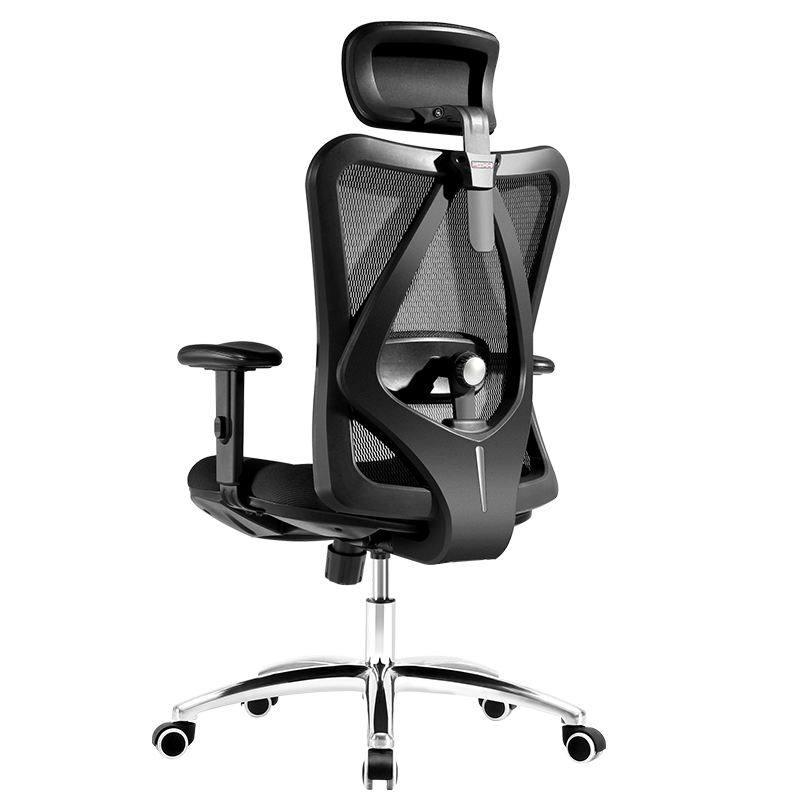 SIHOO M18 Ergonomic Office Chair, Home Computer Chair, Swivel Chair with Four-Way Lumbar Support