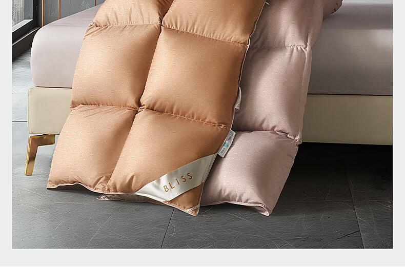 Bellees 90% Duck Down Quilt Winter Double Autumn and Winter Comforter 1000g Filling 200x230cm 4