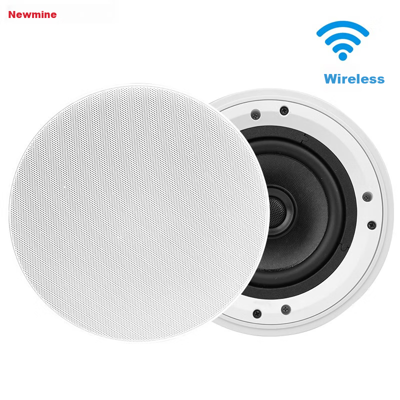 Newmine D9 Wireless FM Coaxial Ceiling Speaker, Home And Office Broadcast Background Music Active Wireless Ceiling Loudspeaker