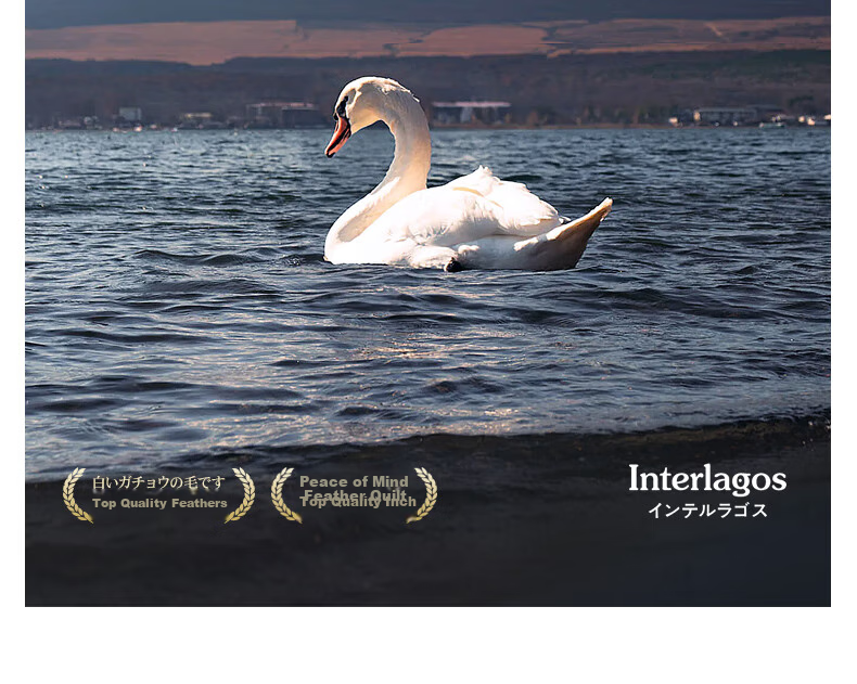 Interlagos Class A 90% White Goose down Comforter, Imported from Japan, Air Conditioning Quilt, 320g, 220*240cm, White 2
