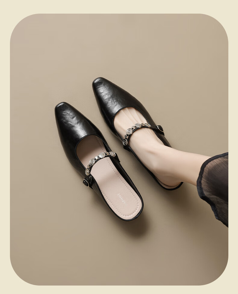 Daphne Thick-Soled Mary Jane Shoes for Women, 2026 New Style with Hidden Heel, Suitable for Skirts, Pointed Toe Flats, Closed-Toe Mules And Slippers 8