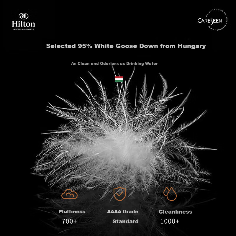 Canasin Hilton Hotel down Pillow, 95% Hungarian White Goose Down Pillow Core, Single Pack, 74*48cm Low Pillow