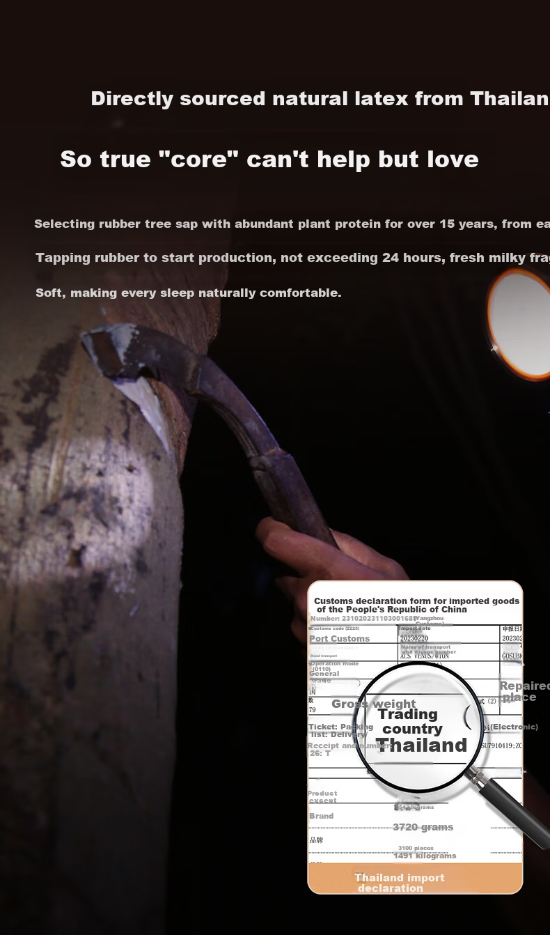 Hodo Thai Imported Natural Latex Mattress, 5cm Thick, 85D Swiss Anti-Mite Cover, 1.8m X 2m, Medium Firmness 8