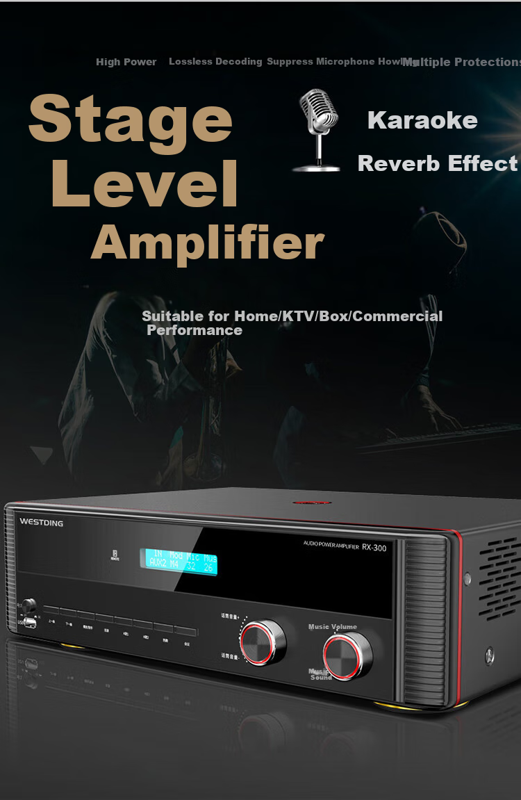 WESTDING Amplifier for Home Theater with Speaker Combination, 2.0 Channel, 1200W Peak Power, AK-393 Amplifier, One Unit 2
