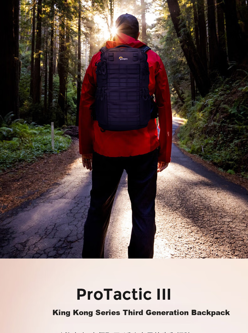 LOWEPRO Le She Bao Jingang San Dai ProTactic BP 350 AW III, Suitable for Mirrorless And DSLR Cameras, Photography Backpack, LP37505-PWW 2