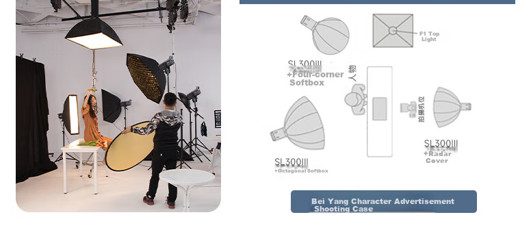Beiyang SL300III Live Streaming Fill Light, Photography Camera Lighting, 300W Professional Live Streaming Beauty Light, Spherical Lamp, Deep Throw Light, Portrait Video Soft Light, Film And Television Shooting Light 11