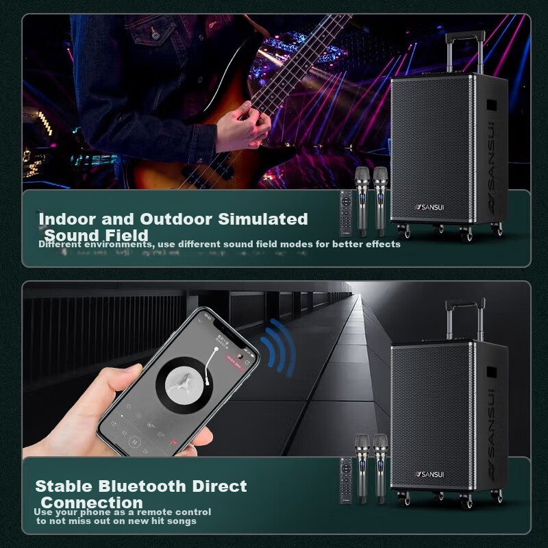 Портативная акустика SANSUI E08, караоке, Bluetooth, 150 Вт, с двумя микрофонами, черный