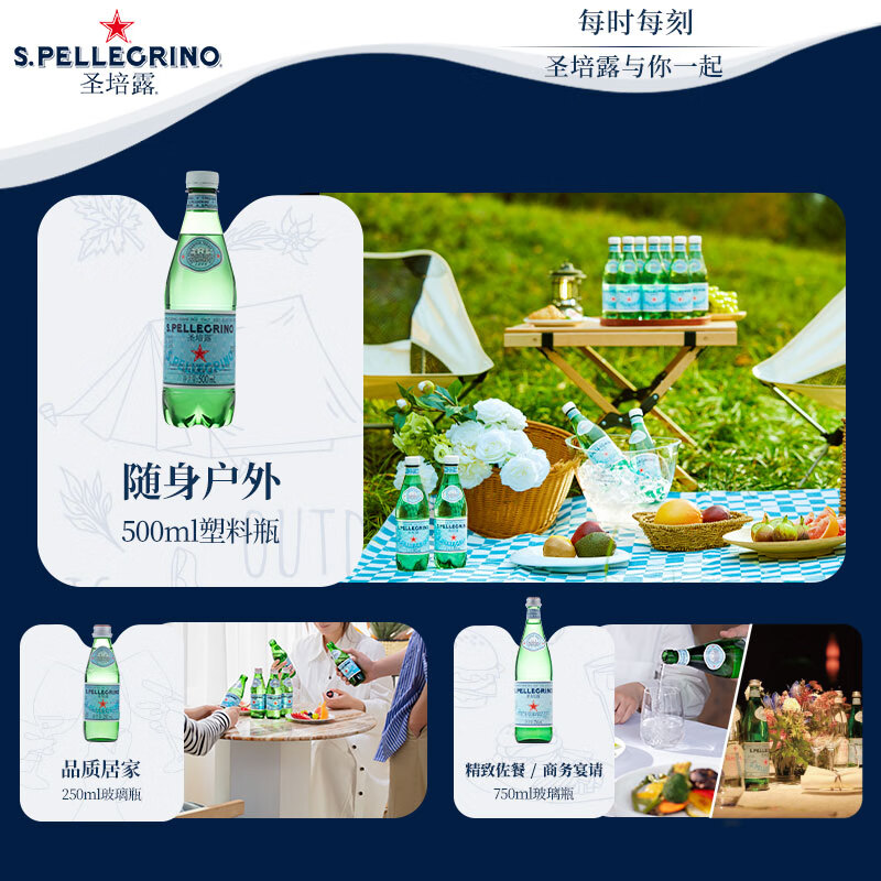 圣培露（S.PELLECRINO）意大利含气天然矿泉水气泡水 饮用水 500ml*24瓶