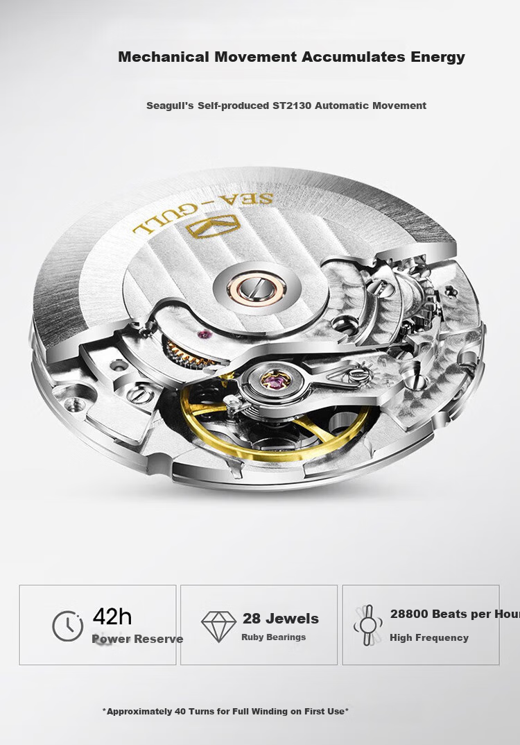 SEAGULL Automatic Mechanical Watch for Men, Simple Calendar Men's Watch, Birthday Gift for Men, National Watch 819.13.1054 27