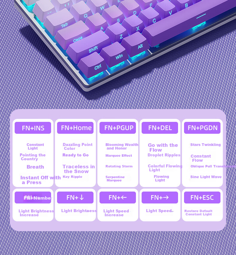 HP Mechanical Keyboard, Wired for Office And Gaming, Desktop And Laptop Use, Side-Engraved Gradient Purple And Blue Switches, 104 Keys 7