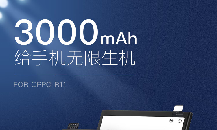 OPPOR11_01.jpg