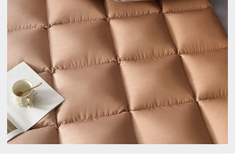 Bellees 90% Duck Down Quilt Winter Double Autumn and Winter Comforter 1000g Filling 200x230cm 10