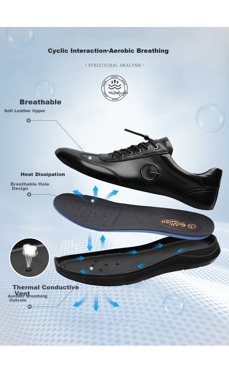 Goldlion [Spring And Summer Refresh] Men's Business Leather Shoes, Breathable Comfortable Slip-On Casual Shoes G550330639AAA Black Size 40 3