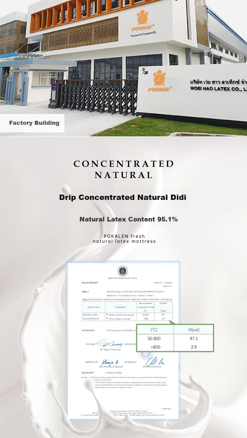 POKALEN Thai Natural Latex Mattress, Made in Thailand, Original Import, 95% Pure Natural High Content 7