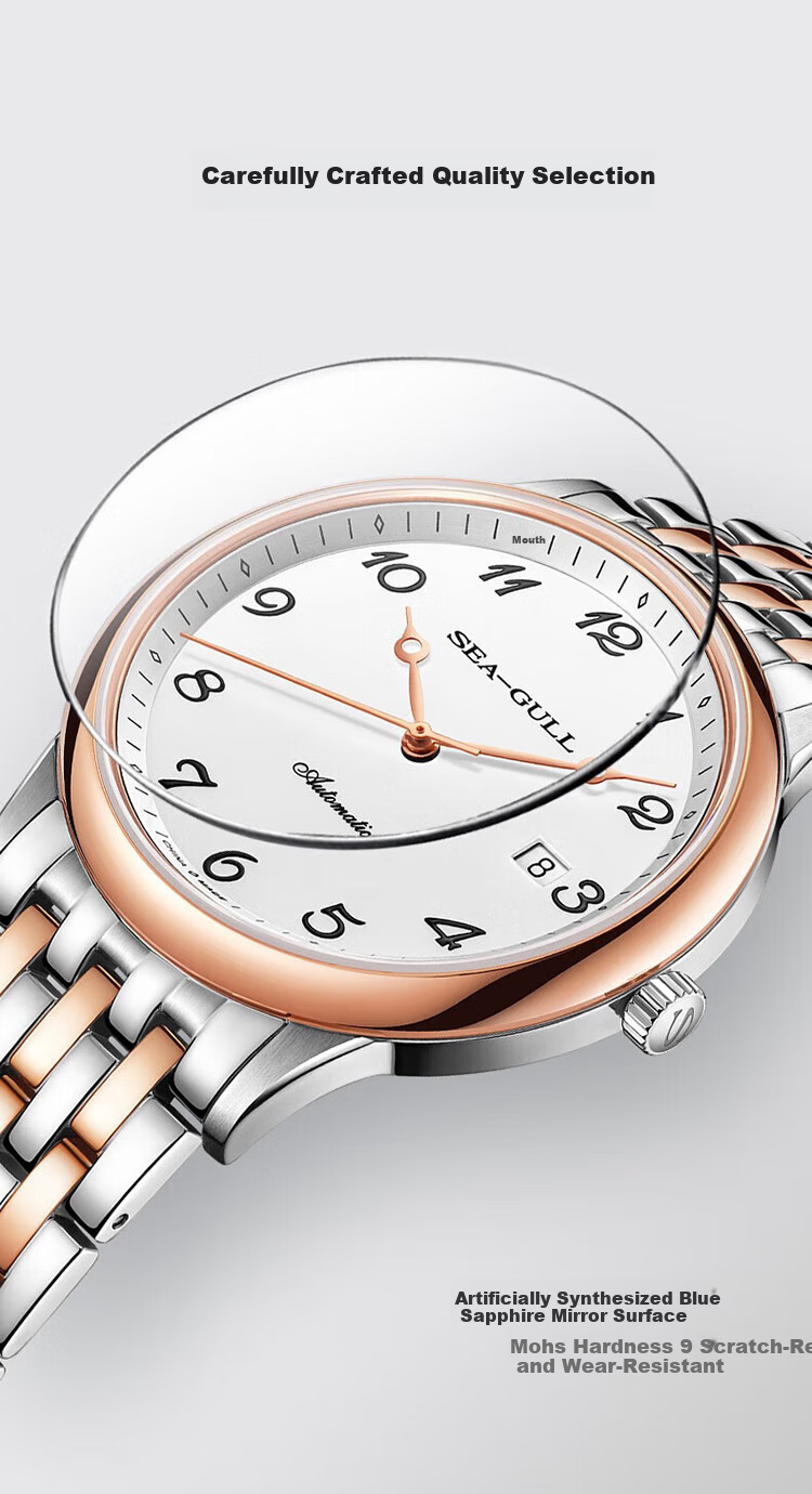 SEAGULL Automatic Mechanical Watch for Men, Simple Calendar Men's Watch, Birthday Gift for Men, National Watch 819.13.1054 29