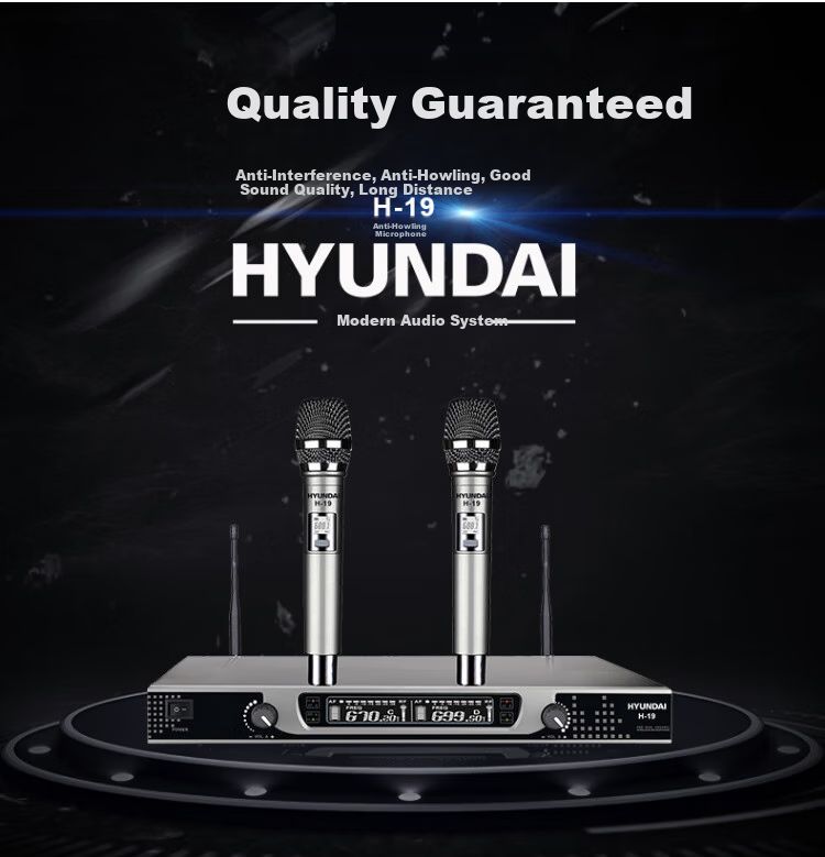 HYUNDAI H-19 Wireless Microphone System, Dual Channel UHF Transmitter And Receiver, for Home KTV, Handheld Use in Meeting Rooms, Outdoor Events, And General Stage Performance 1