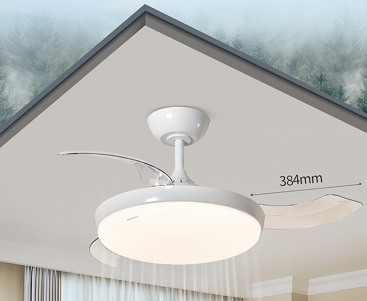 Paulmann P German Paulmann Invisible Fan Light Full Spectrum Eye Protection Ceiling Fan Light Living Room Dining Room Bedroom Silent Remote Control Light 12