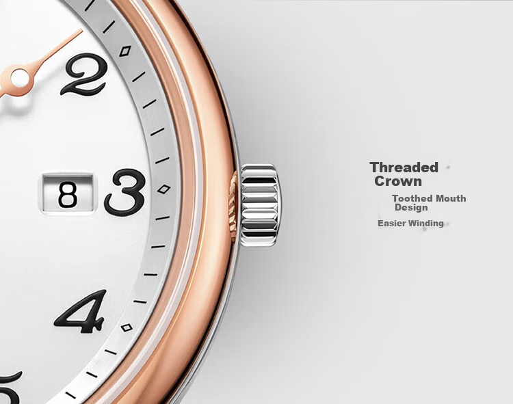 SEAGULL Automatic Mechanical Watch for Men, Simple Calendar Men's Watch, Birthday Gift for Men, National Watch 819.13.1054 30