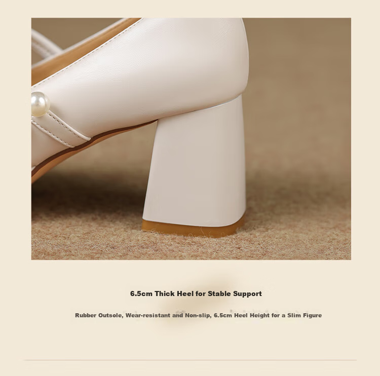 ZHR Mary Jane Shoes for Women, Spring And Autumn Retro French-Style Chunky High Heel Pumps, Square-Toe Elegant Women's Shoes, CQ61 Black, Size 35 8