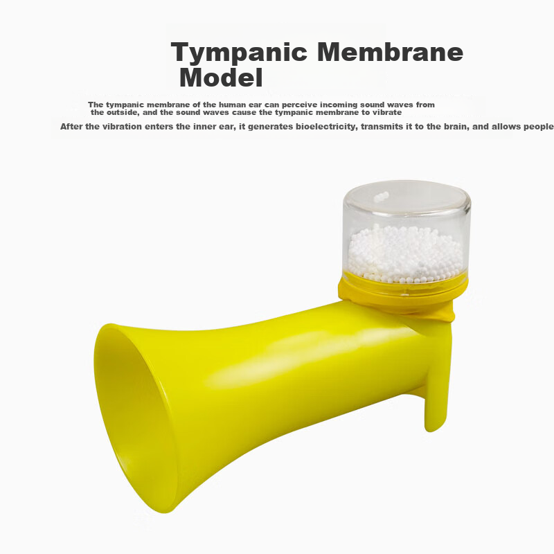 Shunjiang Human Ear Drum Model - Elementary School Science Experiment Demonstration Acoustic Teaching Aid Sound Wave Vibration Propagation Hearing Sound Production Material