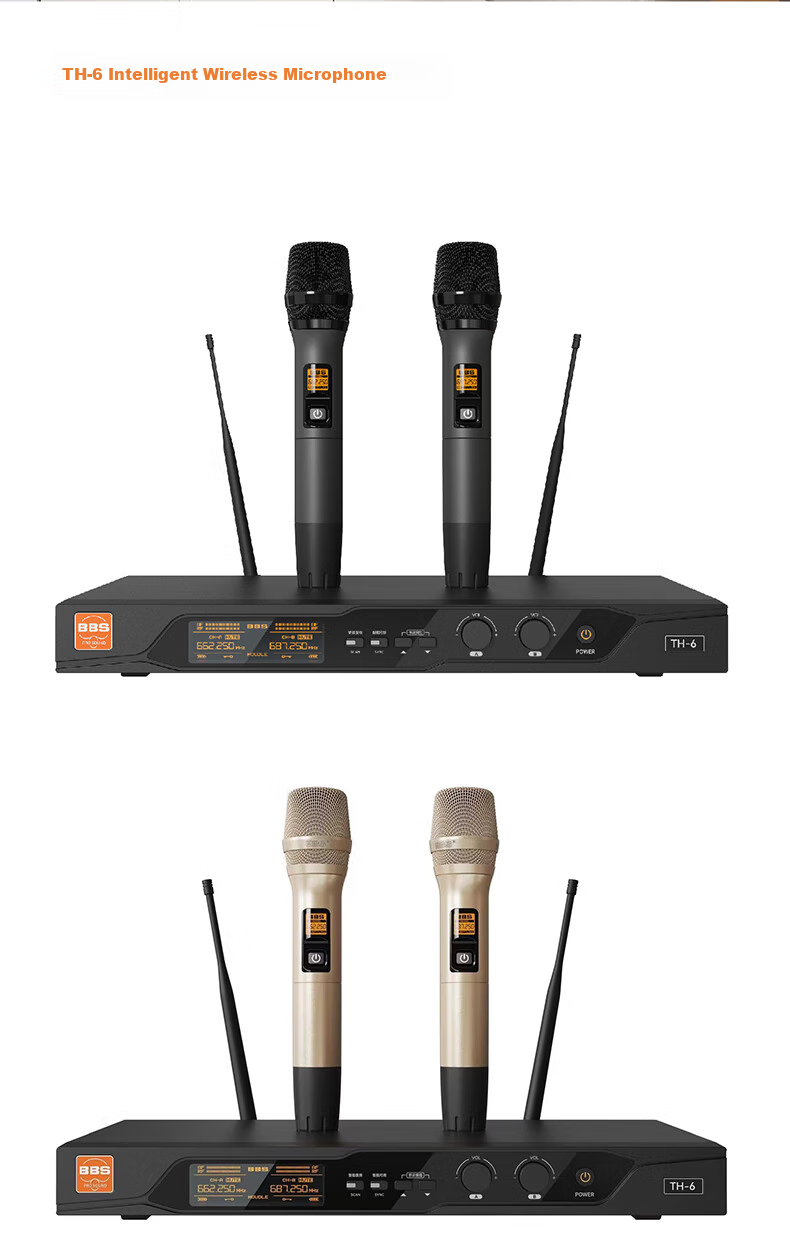 BBS Wireless Microphone, Professional U-Band Handheld Two-Channel UHF Microphone, Home Karaoke KTV Singing, Home Conference Speech, Long-Range Transmission, Stage Hosting Training TH-6 12