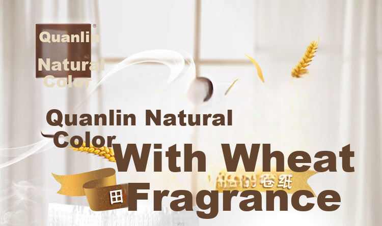 Quanlinbense Kitchen Paper Towels, 180 Sheets * 10 Rolls, Toilet Paper Rolls, Oil-Absorbing, Water-Absorbing, Food-Contact Cleaning, Stain-Removing, Gentle on Hands 1