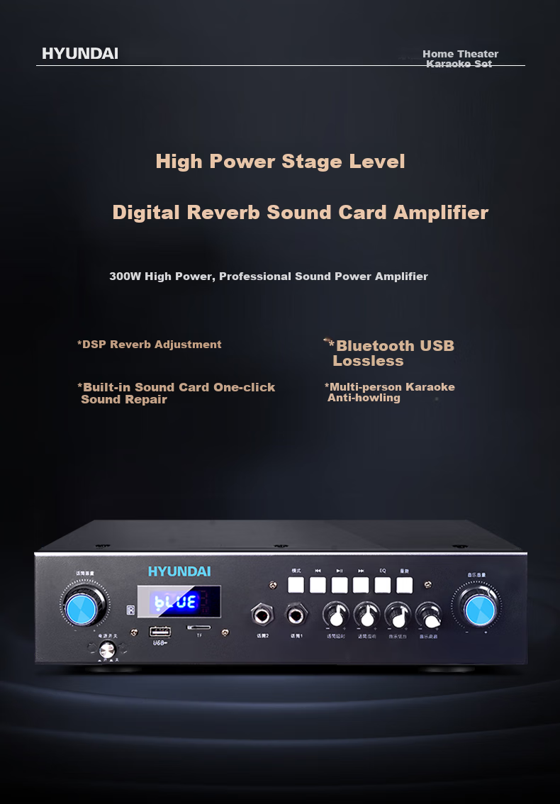 HYUNDAI Home Theater KTV Sound System Set, Professional Amplifier for Living Room, Conference Room, Karaoke, Complete Package with Speakers And Equipment for Shops And Karaoke Venues 7
