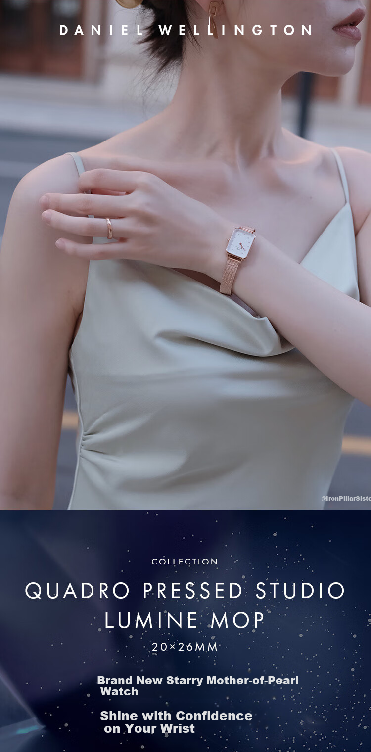 DanielWellington DW Ladies' Watch, Starry Sky Natural Mother-Of Dial, Quartz Steel Strap, Western-Style Wristwatch, Birthday Gift for Girlfriend, DW613 1