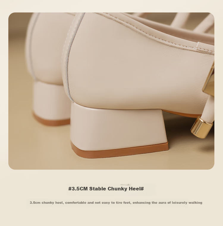 ZHR Mary Jane Shoes for Women, Elegant Shallow Mouth Chunky Heel Pumps, Square Toe Women's Shoes, K283, Beige, Size 36 8