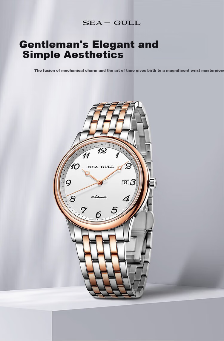 SEAGULL Automatic Mechanical Watch for Men, Simple Calendar Men's Watch, Birthday Gift for Men, National Watch 819.13.1054 19